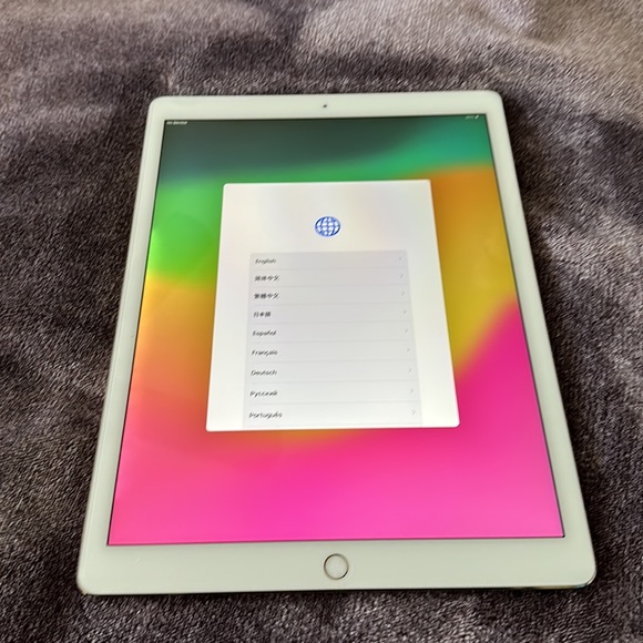 iPad Pro 12.9-inch WiFi+Cellular 64GB Rose Gold (2nd gen) and Case